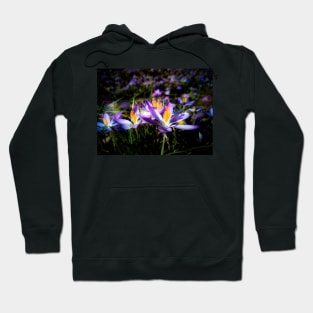 purple flowers, flower meadow, spring, blossoms, floral Hoodie